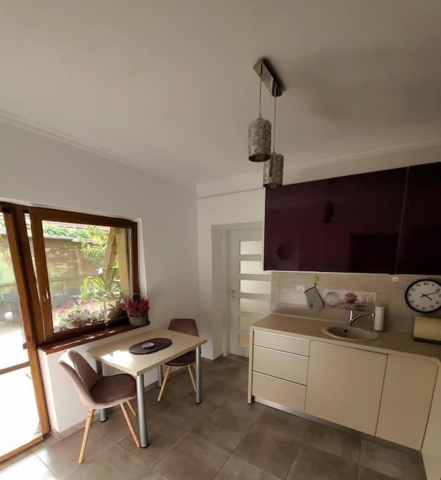 Apartmán Apartament Individual La Casa Parter Temešvár Exteriér fotografie